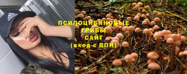 кокаин премиум Козловка
